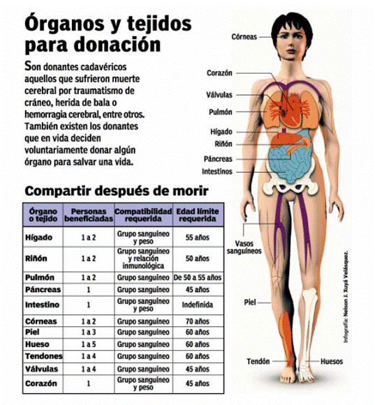 http://www.infonews.com/advf/imagenes/2012/08/502e7276638ce_538x582.png